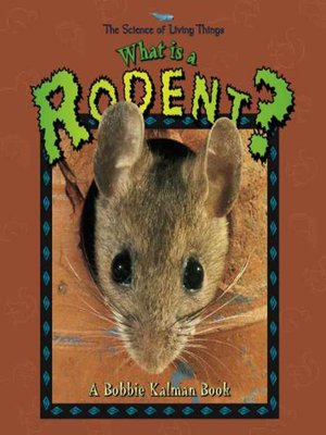 cover image of What is a Rodent?